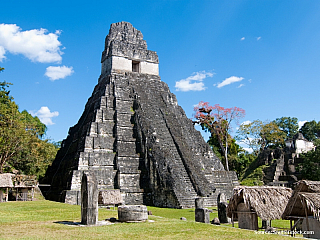 Tikal - mayské město ukryté v džungli