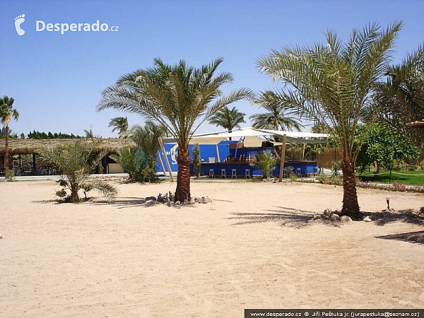 Barracuda Beach (Jordánsko)