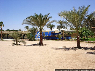 Barracuda Beach (Jordánsko)