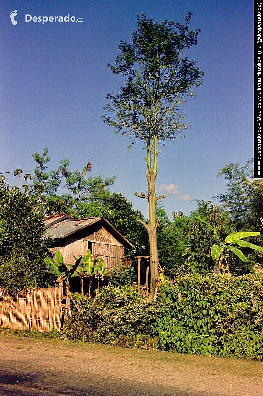 Vang Vieng (Laos)