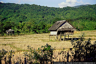 Vang Vieng (Laos)