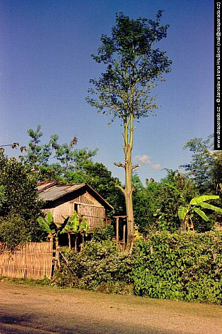 Vang Vieng (Laos)