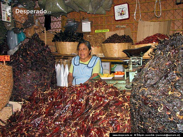 Oaxaca (Mexiko)