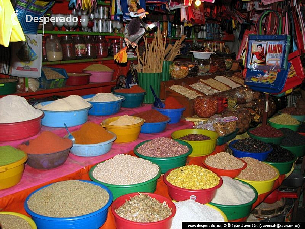 Oaxaca (Mexiko)