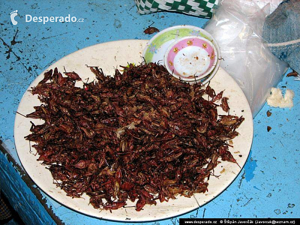 Oaxaca (Mexiko)