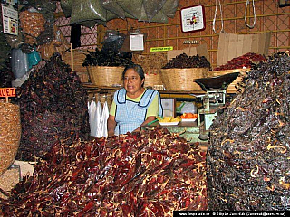 Oaxaca (Mexiko)