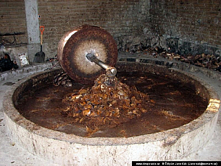 Mitla (Mexiko)