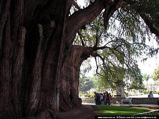 Mitla (Mexiko)