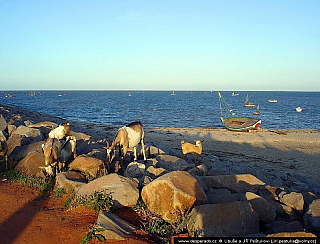 Maputo (Mosambik)