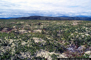 Rondane (Norsko)