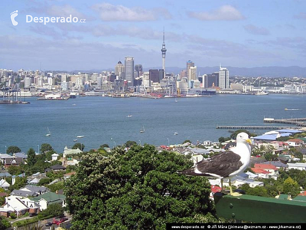 Auckland (Nový Zéland)