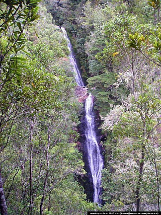 Coromandel (Nový Zéland)