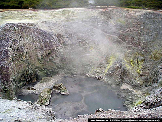 Rotorua (Nový Zéland)