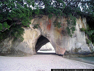 Coromandel (Nový Zéland)