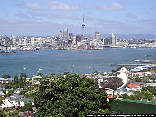 Auckland (Nový Zéland)