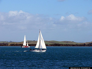 Bay Islands (Nový Zéland)