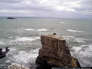 Muriway Beach (Nový Zéland)