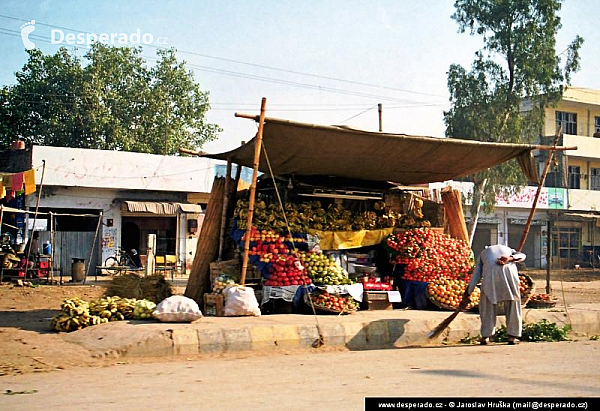 Wazirabad (Pákistán)