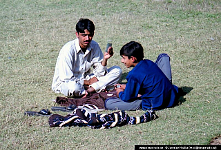 Lahore (Pákistán)