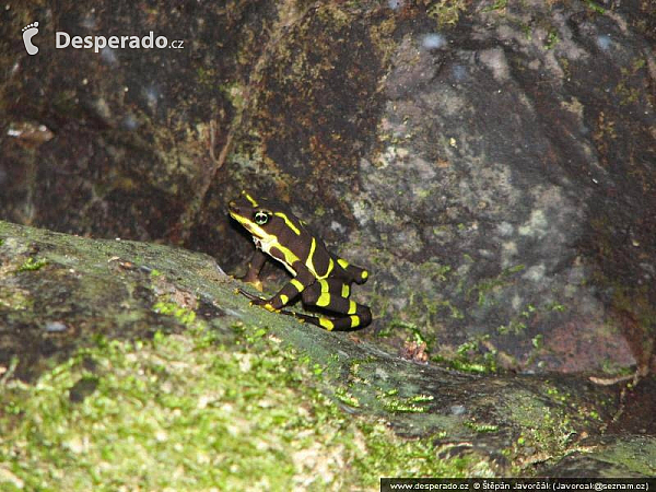 Darién Gap (Panama)