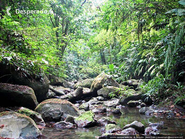 Darién Gap (Panama)