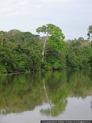 Yaviza (Panama)