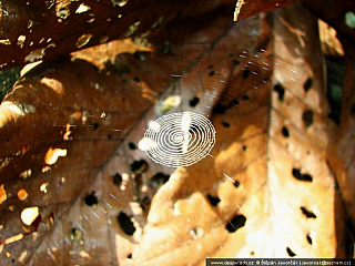 Darién Gap (Panama)
