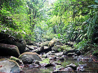 Darién Gap (Panama)