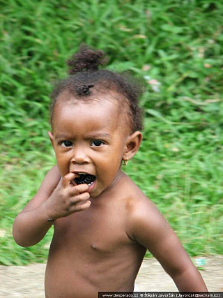 El Real de Santa María (Panama)