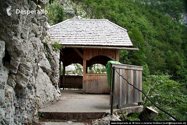 Bohinjské jezero (Slovinsko)
