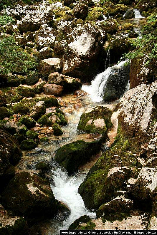 Bohinjské jezero (Slovinsko)
