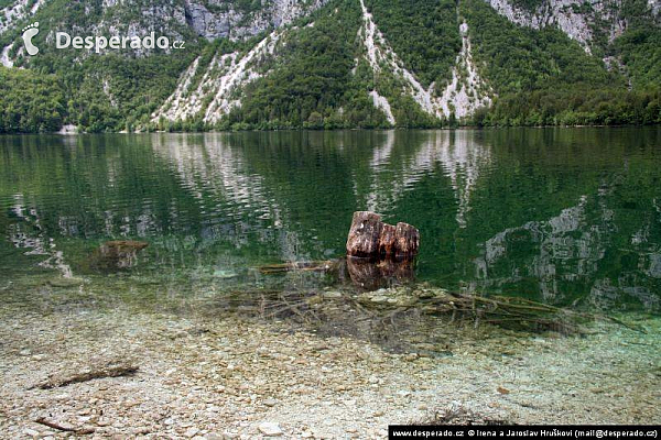 Bohinjské jezero (Slovinsko)