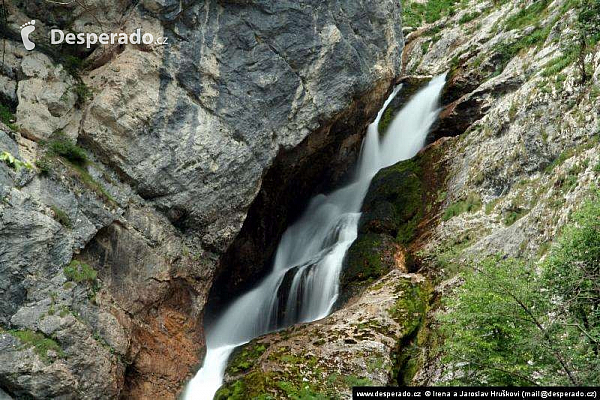 Bohinjské jezero (Slovinsko)