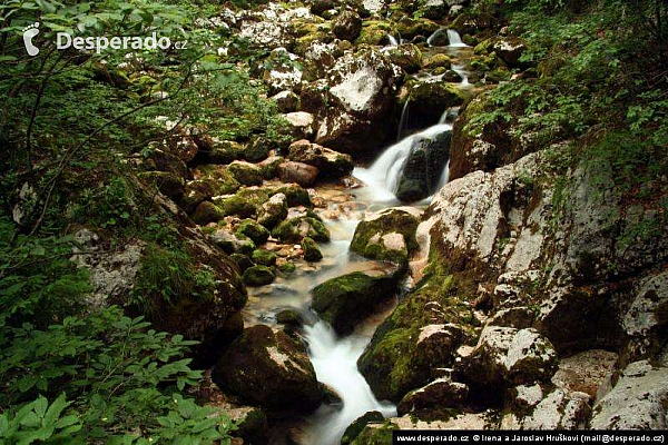 Bohinjské jezero (Slovinsko)