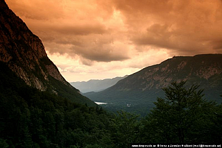 Bohinjské jezero (Slovinsko)