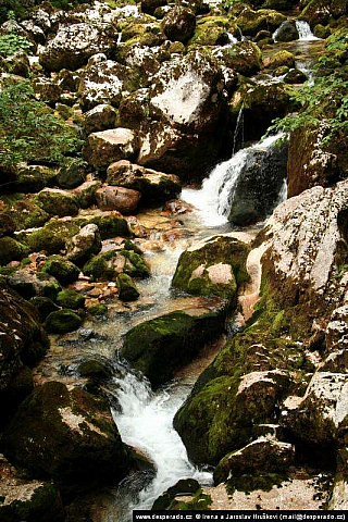 Bohinjské jezero (Slovinsko)