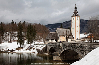 Bohinjské jezero (Slovinsko)