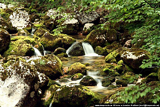 Bohinjské jezero (Slovinsko)