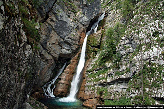 Bohinjské jezero (Slovinsko)