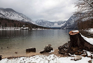 Bohinjské jezero (Slovinsko)