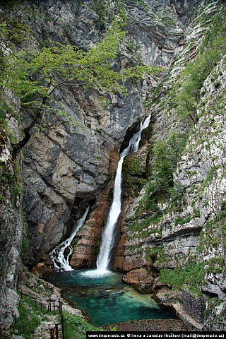 Bohinjské jezero (Slovinsko)