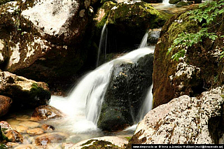 Bohinjské jezero (Slovinsko)