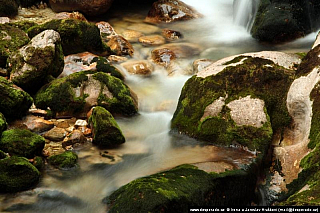 Bohinjské jezero (Slovinsko)