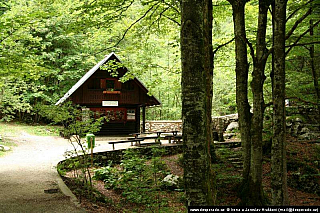 Bohinjské jezero (Slovinsko)