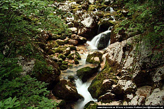 Bohinjské jezero (Slovinsko)
