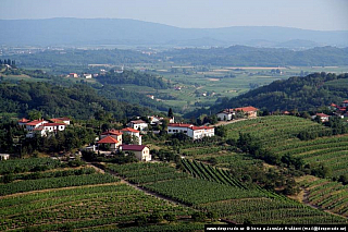 Goriška Brda (Slovinsko)