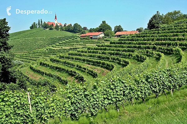 Vinařská oblast Jeruzalém (Slovinsko)