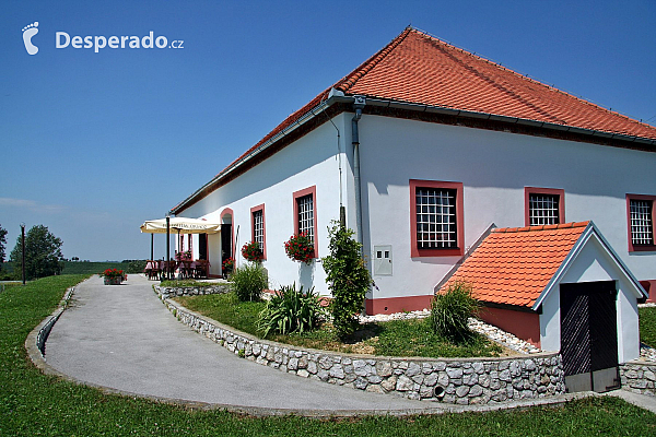 Vinařská oblast Jeruzalém (Slovinsko)