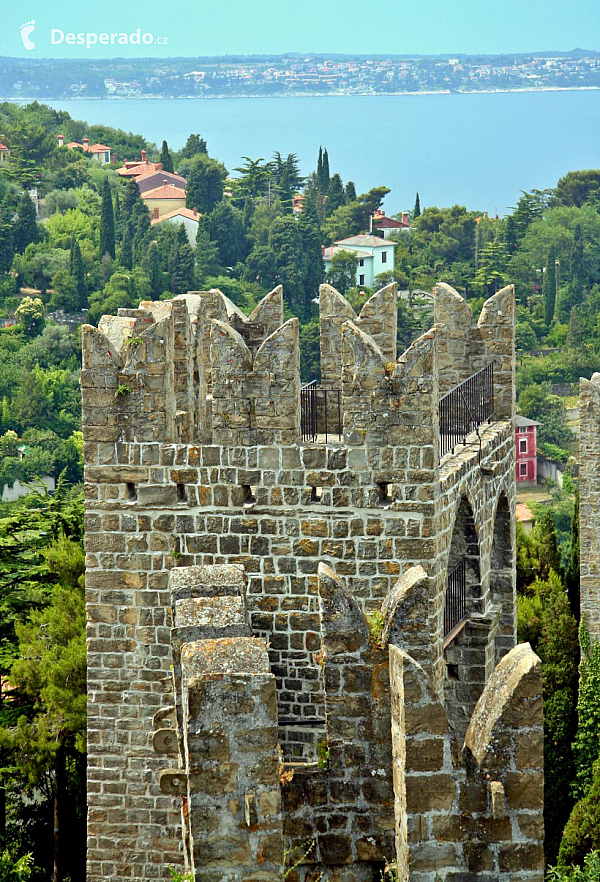 Piran (Slovinsko)