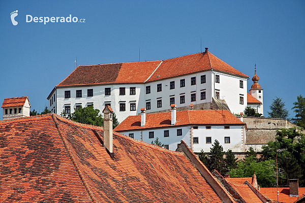 Ptuj (Slovinsko)
